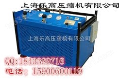 小型高压充气泵【上海乐高51074658】