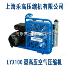 上海微型天然气压缩机