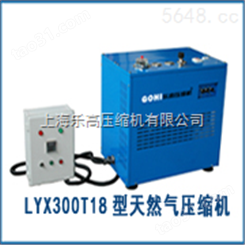 LYW300T天然气压缩机厂商