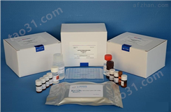 兔白介素18（IL18）ELISA试剂盒