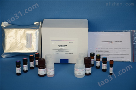 人肽基*脱亚氨酶Ⅳ（PADI4）ELISA试剂盒
