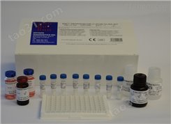 人突触极蛋白2（SYNPO2）ELISA试剂盒