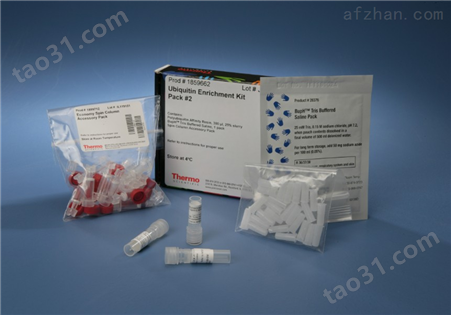 猴白介素6（IL-6）ELISA试剂盒